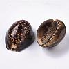 Natural Cowrie Shell Beads SSHEL-Q298-19-3