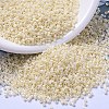 MIYUKI Delica Beads LS-SEED-J020-DB0157-1