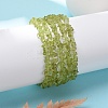 Unisex Chip Natural Peridot Beaded Stretch Bracelets BJEW-S143-51-4