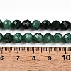 Natural Fuchsite Beads Strands G-T140-20A-5