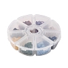 8 Colors Natural Stones Chip Bead Sets G-FS0002-33-4