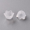 Transparent Acrylic Beads Caps PL543-1-5