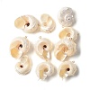 Natural Sea Shell Pendants SSHEL-C013-03-1