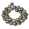 Natural Gray Labradorite Beads Strands G-L657-A02-01-3