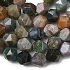 Natural Indian Agate Beads Strands G-Z119-A29-02-5