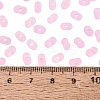 FGB Frosted Transparent Glass Seed Beads SEED-N013-06A-05-4