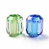 Transparent Acrylic Beads OACR-P011-06L-2