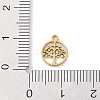 304 Stainless Steel Charms STAS-K286-01D-G-3