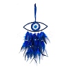 Handmade Evil Eye Woven Net/Web with Feather Wall Hanging Decoration HJEW-K035-05-2