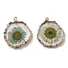 Inner Dried Flower Resin Pendants X-RESI-P028-02KCG-02-2