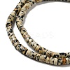 Natural Dalmatian Jasper Beads Strands G-E612-A01-B-3