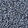 8/0 Ceylon Round Glass Seed Beads X-SEED-A011-3mm-149-2