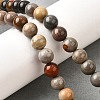 Natural Picture Jasper Beads Strands G-S390-07-8mm-1