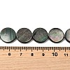 Natural Black Lip Shell Beads Strands BSHE-D300-05-14mm-4