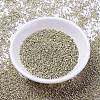 MIYUKI Delica Beads SEED-X0054-DB1831-2