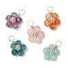 5Pcs 5 Styles Natural Amazonite & Apatite & Rose Quartz & Amethyst & Red Agate Faceted Round Beaded Pendants PALLOY-JF03606-01-S-1