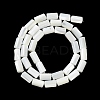 Natural Trochus Shell Beads Strands X-BSHE-Z003-18-2