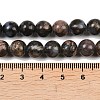 Natural Glaucophane Beads Strands G-R485-12-8mm-4