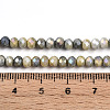 Ombre Effect Dyed Glass Beads Strands GLAA-C023-02-C11-A-4
