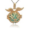 Golden Tone Brass Cage Pendants KK-J213-11G-2