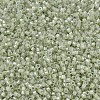 MIYUKI Delica Beads X-SEED-J020-DB1765-3