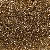 MIYUKI Delica Beads SEED-MY11-DB0181-3