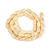 Anti-Tarnish Electroplate Glass Beads Strands EGLA-Q130-02A-08-2