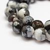 Faceted Natural Fire Crackle Agate Beads Strands G-F447-10mm-A21-3