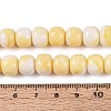Ombre Effect Dyed Glass Beads Strands GLAA-N067-01A-08-4