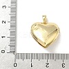 Brass Micro Pave Cubic Zirconia Locket Pendants LS-KK-F905-05G-01-3