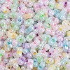 Glass Seed Beads SEED-K010-03M-2