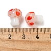 Handmade Lampwork Beads LAMP-F034-01A-3