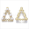 Alloy Pendants PALLOY-T077-16-2