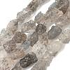 Natural Black Soya Bean Raw Ore Beads Strands G-M453-D08-2