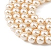 Preciosa® MAXIMA Crystal Nacre Pearls X-PRC-NPA10-71000-4