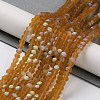 Transparent Glass Beads Strands LS-EGLA-A034-T4mm-MB02-2