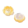 Natural Yellow Shell Carved Beads SSHEL-I026-12A-01-2