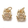 Brass Micro Pave Clear Cubic Zirconia Charms ZIRC-B002-48G-2