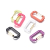 Spray Painted Alloy Keychain Clasps PALLOY-G258-01G-1