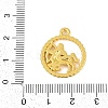 Twelve Constellations Alloy Pendants LS-PALLOY-Q006-01D-G-3