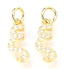 Brass Micro Pave Cubic Zirconia Charms ZIRC-O037-20G-1