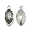 Alloy Glass Pendants PALLOY-T041-7x15mm-03-1