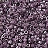 Baking Paint Glass Seed Beads X-SEED-S042-15A-14-3