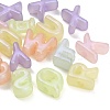 Opaque Acrylic European Beads AC-CBA5040-04-1