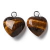 Natural Tiger Eye Pendants G-E603-01P-06-2