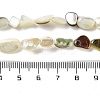 Natural Black Lip Shell Beads Strands SHEL-G020-04-4