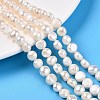 Natural Cultured Freshwater Pearl Beads Strands PEAR-N014-07J-1