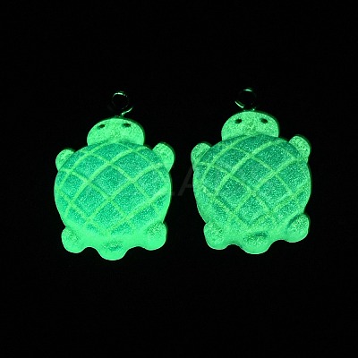 Gradient Color & Luminous Opaque Resin Pendants LS-RESI-S011-01A-1