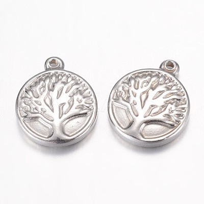 Non-Tarnish 304 Stainless Steel Charms STAS-P171-13P-1
