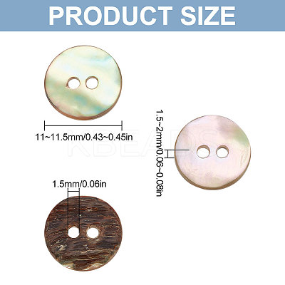 120Pcs Natural Shell Buttons BUTT-FG0001-13-1